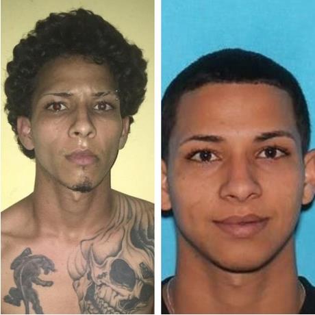 autoridades-investigan-si-quien-disparo-a-david-tiene-antecedentes-en-estados-unidos