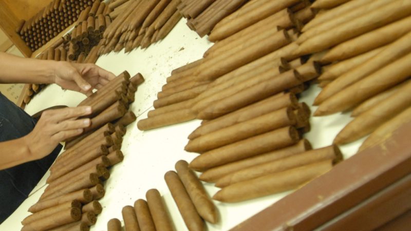 tabaco