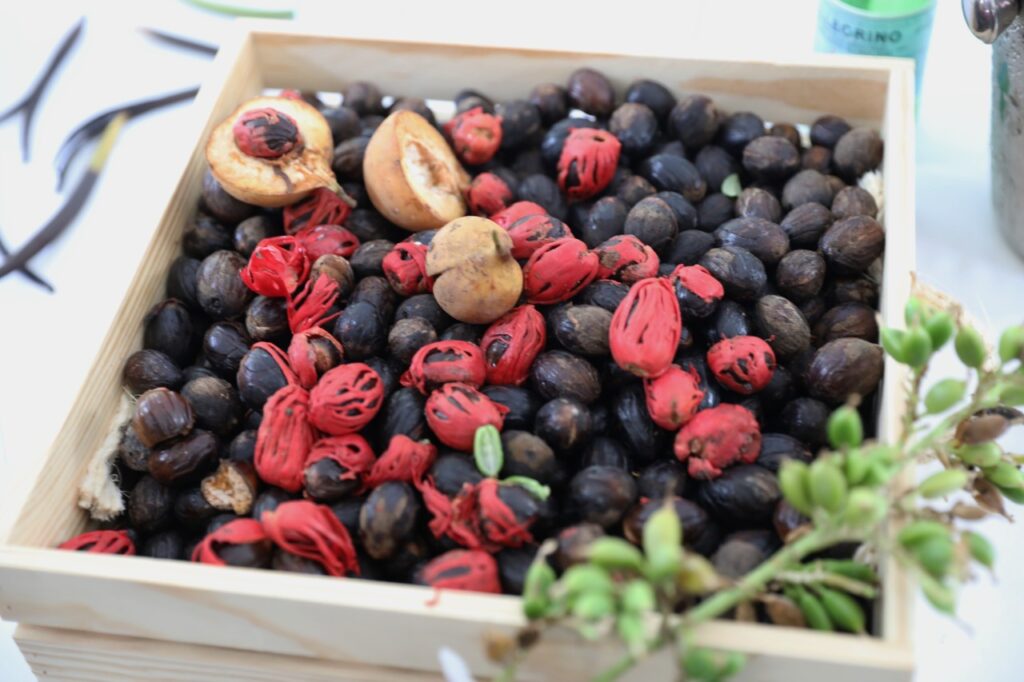 Agricultura promueve cultivo de especias y productos no tradicionales en el país