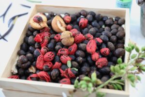 Agricultura promueve cultivo de especias y productos no tradicionales en el país