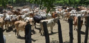 35746C54-1A99-4590-A775-092EA19CA2FC