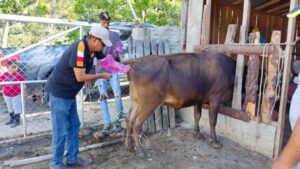 Conaleche y Digega desarrollan programa de inseminación artificial a nivel nacional