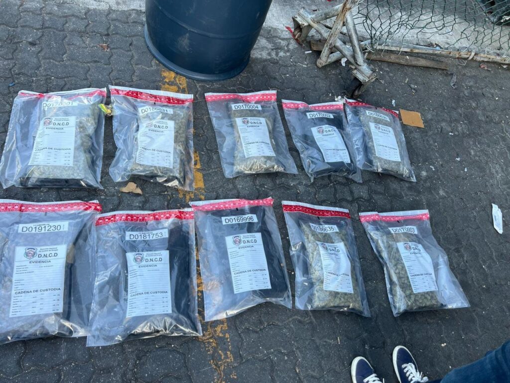 DNCD confisca 32 paquetes de marihuana en puerto de Haina