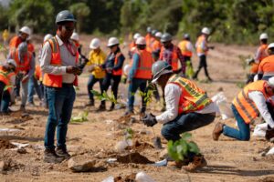 La reforestación contribuirá a la protección del suelo, controlará la erosión, reforzará la cobertura vegetal, entre otros beneficios medioambientales.