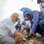 Propeep contribuye a la recuperación del rio Ozama; con la siembra de manglares rojos